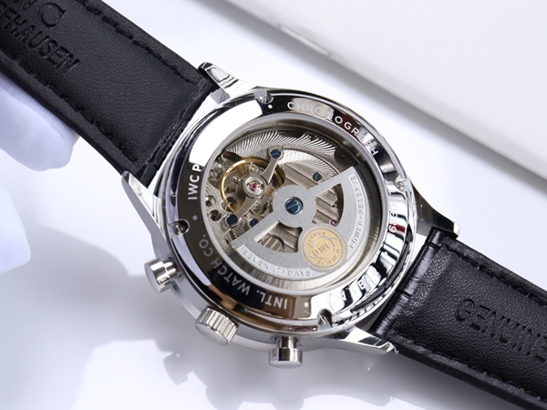 アイ・ダブリュー・シー着用イメージ